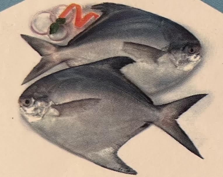 Silver Pomfret