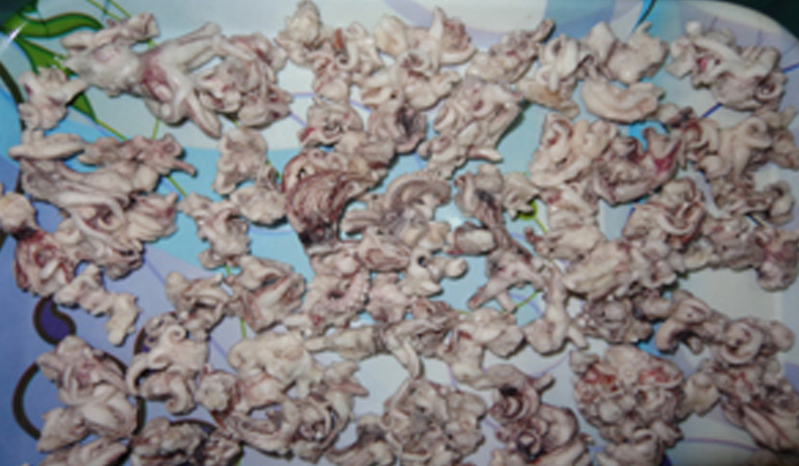 Squid Tentacles