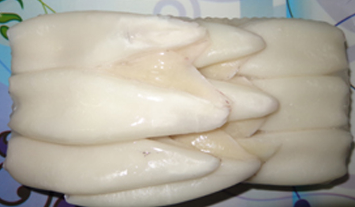 Squid Tube